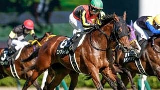 【ターコイズS】ウンブライル、ボンドガールらが登録