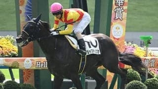 【ホープフルS】ジャスティンビスタ、アンドゥーリルらが登録