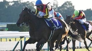 【有馬記念】レガレイラ、メイショウタバルらが登録