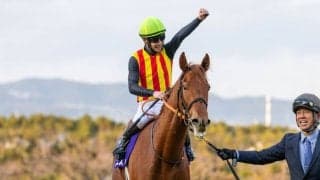 【阪神JF】松山「追い出し我慢する余裕あった」スターアニスがG1初制覇