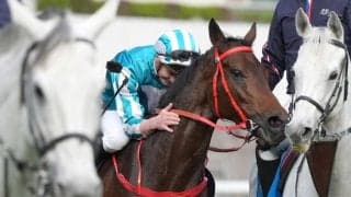 【香港カップ】マクドナルド「まさに怪物」ロマンチックウォリアー4連覇達成