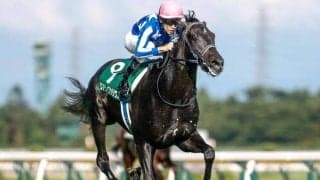 2歳マイル王決定戦・朝日杯FSとターコイズS/今週の競馬界の見どころ
