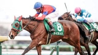 【有馬記念出走馬決定順】フルゲート16頭に対して22頭登録 ライラックなどが除外見込み