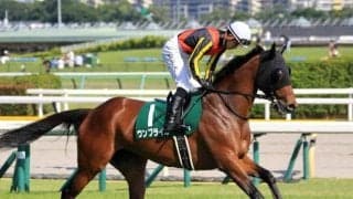 【ターコイズS見どころ】復調ムードのウンブライルが重賞初制覇を狙う