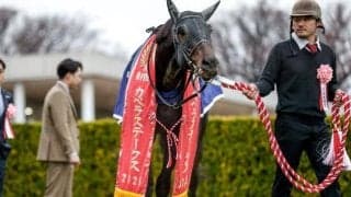 【カペラS】売上は37億666万1800円で昨年より約4.7億円増加