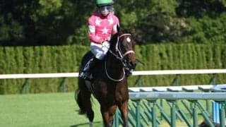 【ターコイズS想定騎手】ビップデイジーは西村淳也騎手、チェルビアットは戸崎圭太騎手