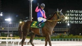 【先週のJRA抹消馬】JpnI・4勝のメイショウハリオ、22年ホープフルS覇者ドゥラエレーデなど