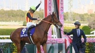 【阪神JF】売上は151億7453万6900円で昨年より約6.6億円増加