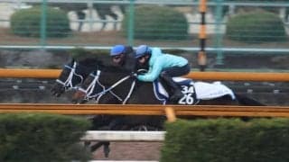 最終追い切りの動きにも注目 ダノンテムズが日曜阪神で初陣/関西馬メイクデビュー情報