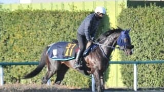 セレクト1億6500万円 半兄にシャケトラがいるランブルスコ/関東馬メイクデビュー情報