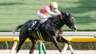 【ターコイズS展望】牝馬限定のハンデ戦をジューンオレンジが制する