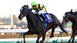 有馬記念の種牡馬別勝利数ランキング 世紀の大種牡馬はグランプリの記録にも名を刻む