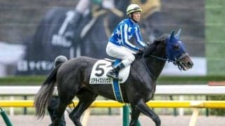 【朝日杯FS予想オッズ】リアライズシリウスが予想1番人気