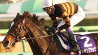 直近の日高生産馬による勝利 キタサンブラックが制した17年の有馬記念を回想