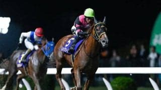 【川崎・全日本2歳優駿注目馬】ケンタッキーダービーにもつながる砂の2歳王者決定戦