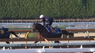 ダノンデサイル、有馬記念1週前追い切り速報/栗東トレセンニュース