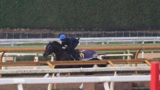 ミュージアムマイル、有馬記念1週前追い切り速報/栗東トレセンニュース