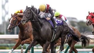 【阪神C想定】ルガルやナムラクレアなど14頭