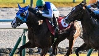 【朝日杯FS】リアルスティール産駒のJRA・GI初制覇なるか アドマイヤクワッズが無敗戴冠狙う