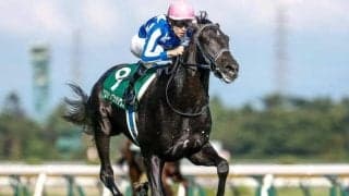 【朝日杯FS AI予想】近年は圧倒的に内枠有利 今年も枠順が明暗を分けるか