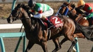 GI昇格前最後の勝ち馬は後のダービー馬 レイデオロが制した16年ホープフルS