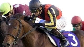 ステイゴールド産駒初のGI制覇 ドリームジャーニーが制した06年朝日杯FSを回想