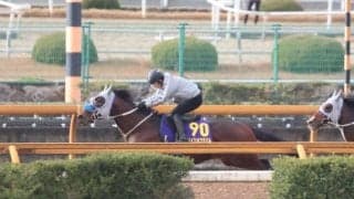 メイショウタバル、有馬記念1週前追い切り速報//栗東トレセンニュース