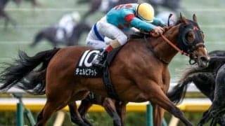 【ターコイズS出走馬・騎手確定】チェルビアット＆戸崎圭太騎手、ビップデイジー＆西村淳也騎手など16頭