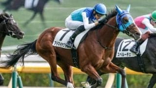 【朝日杯FS・調教後馬体重】アドマイヤクワッズは474kg、リアライズシリウスは532kg