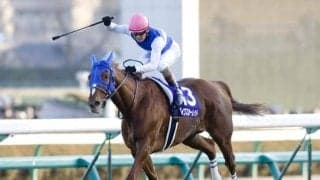 有馬記念配当ランキング 歴代1位は98万5580円…1番人気勝利でもヒモ荒れ