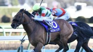 全兄はGI・3勝のエフフォーリア エヴィーヴァがデビューVなるか