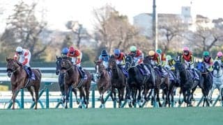 全10話を終えた日曜劇場『ザ・ロイヤルファミリー』 登場した豪華なホースマンや馬たちを紹介