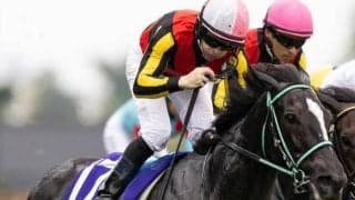 半姉はGI・2勝のアスコリピチェーノ セレクト4億円のダノンアスコルティがC.ルメール騎手で新馬Vなるか