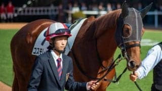 朝日杯FSで好走した伏兵の共通項とは 人気薄でも侮れない2頭に注目