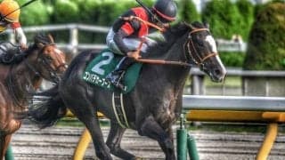 【ディセンバーS】23年のサウジアラビアRC覇者 ゴンバデカーブースが1年ぶりの復帰戦だ