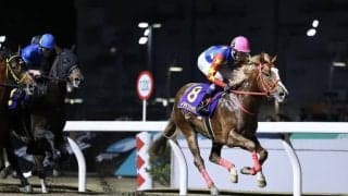 【武豊日記】師走らしく忙しく飛び回っています