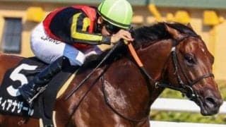 【六甲アイランドS】叔母は名牝ジェンティルドンナ ディアナザールが3連勝なるか