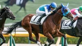 【朝日杯FS枠順確定】アドマイヤクワッズは7枠12番、リアライズシリウスは8枠13番