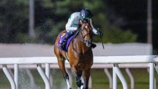 GII/JpnII・2勝のウィリアムバローズが登録抹消 今後は浦和競馬に移籍予定