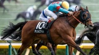 【ターコイズS枠順確定】チェルビアットは8枠16番、ビップデイジーは5枠9番