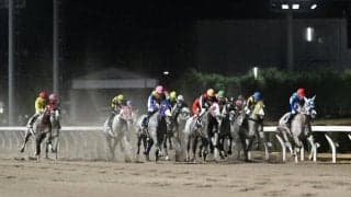 出走12頭ぜんぶ芦毛馬 19日の川崎12Rでホワイトクリスマス賞