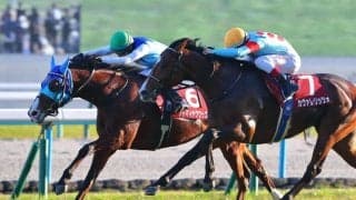 【朝日杯FS】アドマイヤクワッズは474kg…出走馬の調教後における馬体重
