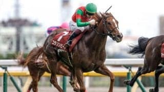 23年京王杯2歳S覇者コラソンビートが登録抹消 ビッグレッドFで繁殖入りへ