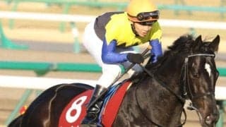 金子真人オーナーの1.5億円馬 ランブルスコがデビュー勝ちなるか