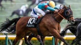 【ターコイズS】半姉は名牝ショウナンパンドラ チェルビアットがきょうだい3頭目の重賞制覇なるか