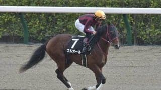 中京ダートは差し優勢 舞台巧者フルオールの出番だ