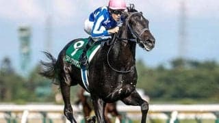 朝日杯FSは前走勝ち馬が圧倒的 17年連続で勝利中