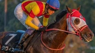 【尾頭橋S】兄姉2頭が海外G1馬 グラヴィスが激変なるか