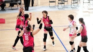 それぞれのスタンスで高い壁へ～天皇杯・皇后杯ファイナルラウンドより③SVリーグへの挑戦者編