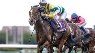 23年皐月賞馬ソールオリエンスが登録抹消 今後はブリーダーズ・スタリオン・ステーションで種牡馬入りへ